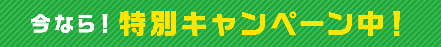 今なら！特別キャンペーン中！